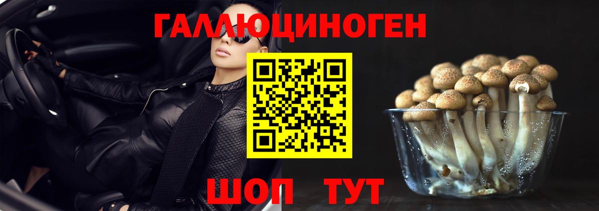 Псилоцибиновые грибы прущие грибы  Вход с VPN  Красноуфимск 